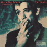 shane macgowan